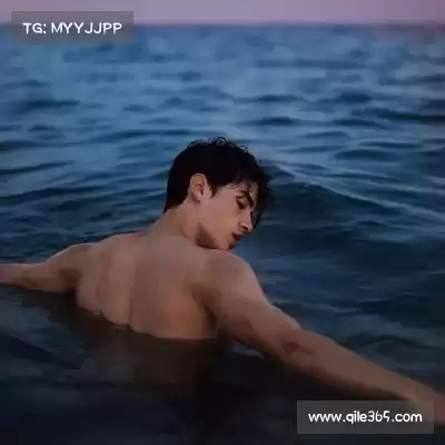 费朗标